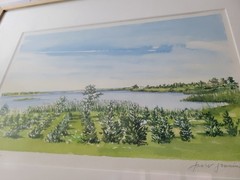 Original Janet Jennings Watercolor “Sagg Pond” 1987 Framed East Hampton 21×16