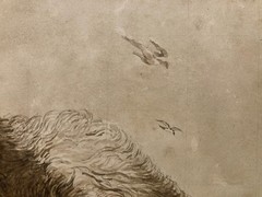 Drawing Ink Wash On Paper XIX Century 1850 Animals Dog Art Old