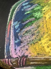 Colorborn Parrot – Original Oil Pastel Abstract Bird 9×12
