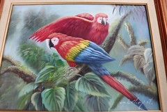Mariel Chapot Oil of Two Macaws