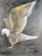 Bald Eagle Original Painting