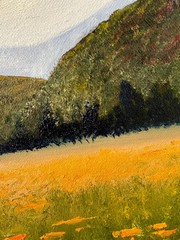California Poppies Original Oil Painting Meadow Poppy Flowers Painting Landscape