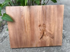 Carpfishing Fisherman Catches Carp Large Wood Carving Multicolor Picture Woodwor