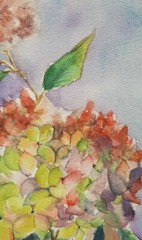 Original Watercolor Painting Flowers Hydrangea Wall Art Hand Made Painted
