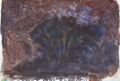 Stars and Eucalyptus Watercolor Impressionism John Kilduff 7″x10″