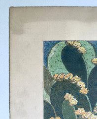 Antique Watercolor Cactus Painting by Hazel Frazee, Chicago, IL
