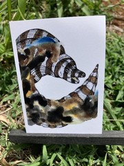 ACEO, PRINT Of My Watercolor Art 💦 , Zebra Moray Eel, Puhi