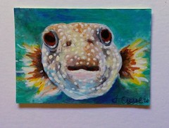 Aceo Original,Ooak, Acrylic Painting „Pufferfish“