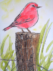 ACEO Little RED BIRD Painting Art