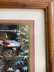 Cardinals Striped Sleeping Maine Coon Cat in Bird Feeder Picture9x11 Frame