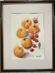 Original Watercolor Apricots & Cherries Painting Fruit Still Life Art 9×12 Inch