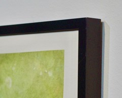 Arcrylic painting, -Framed signed Rosemary Ade- three Koi in a pond.