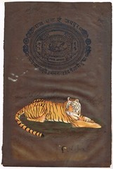 Hand Miniature Painting Of Tiger Wildlife Fine Art On Old Stamp Paper 9×13 Inch