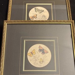 Two Vintage Butterfly Illustrations Prints, DBL Matted, Pro. Framed, 1- Plate 29