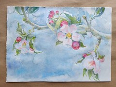 Blossoming branch of an apple tree, original watercolor painting. 14 x 10 inches