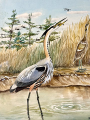 Rex Brasher Original Bird Art Painting – Great Blue Heron & Bittern, Signed