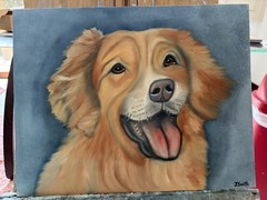 Original oil painting 11 x 14 inches happy golden retriever dog