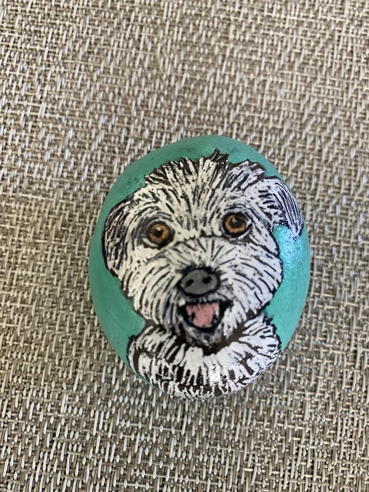 Hand Painted Maltipoo Dog Portrait On Rock Bichon