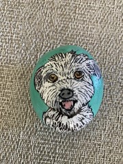 Hand Painted Maltipoo Dog Portrait On Rock Bichon