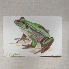 Original Frog Painting Handmade Cotton Paper Deckled Edge Wildlife Art