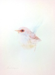 Fairy wren, Birds, Watercolor artwork, Handmade, Original painting on paper