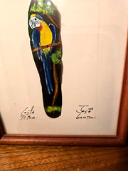 Vintage 2 JOSE GARRO – PARROT PAINTED on FEATHER – Costa Rica – Framed &SIGNED