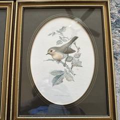 Set Of 4 John Murr Paintings 1956-1950 (Excludes1958) Manuscript Limited