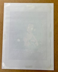 Hand painted Fan Art Serigraph Style Cel Tarzan Animation