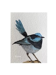 ACEO Painting By Kenna Original Art card Blue Fairy Wren 2.5” X 3.5” Signed ÀTC