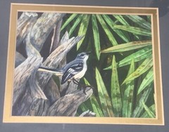 VTG ‘05 Florida Mockingbird W/C FL Artist Joan Foster 10 5/8”T 12 5/8”W Framed