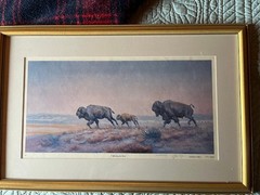 Montana Artist J.W. Bill Rains Water Color Painting: „Follow the Herd“