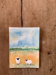 ACEO Original By Kenna Painting 2 Sheep 2.5” X 3.5” Signed ÀTC