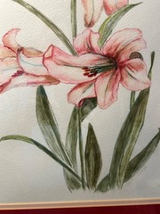 Vintage Watercolor Painting of Pink Lilies, Signed, Matted and Framed