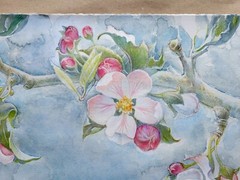 Blossoming branch of an apple tree, original watercolor painting. 14 x 10 inches