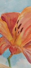 watercolor paintings original