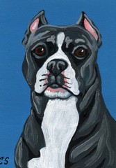 ACEO Original Painting Black Pit Bull Dog Pet Art -Carla Smale