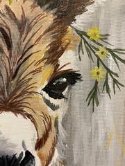 9 x 12 Framed Acrylic and Pen Painting on Canvas Board……“Spring Burro“