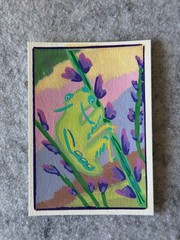 ACEO original, Praying Mantis, insects ART by DLDobbins