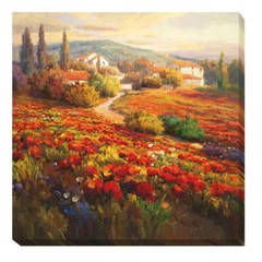 Poppy Fields by Lombardi Gallery-Wrapped Canvas Giclee Artwork (36 in x 36 in)