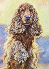 Watercolor Painting Cocker Spaniels Cute Dog ACEO Art No.231