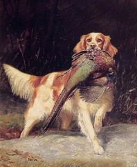 Oil painting dog English Setter with Pheasant in landscape canvas FREE SHIPPING