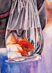 Goldfish Watercolor Painting Fish in Plastic Bag with Water Zodiac Pisces Art A4