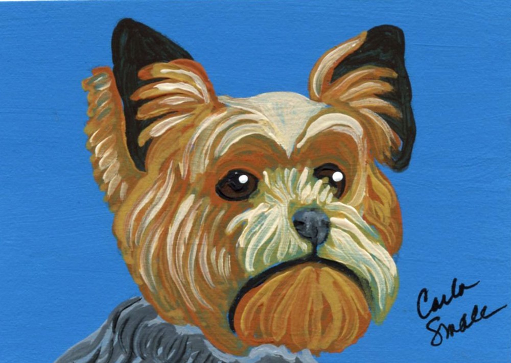 ACEO Original Miniature Painting Yorkshire Terrier Dog Pet Art-Carla Smale
