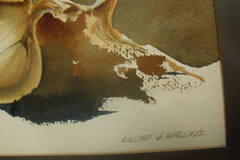 WILLIAM V. WALLACE 5″ BY 7″ ONION STILL LIFE WATERCOLOR