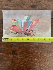 1990s Watercolor Painting Succulent Plant California Artist 6 x 9