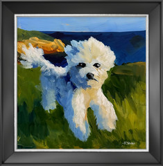 R Stevens Coastal Dog 12×12 Painting Fluffy White Puppy Acrylic Artwork