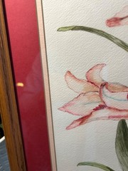 Vintage Watercolor Painting of Pink Lilies, Signed, Matted and Framed