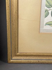 Vintage Asian Framed Painting Signed Pen Red & White Rose Flower Matte Gold 4291