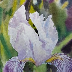Original Watercolor Iris Painting Floral Art 9×12 in Purple White Flower