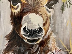 9 x 12 Framed Acrylic and Pen Painting on Canvas Board……“Spring Burro“